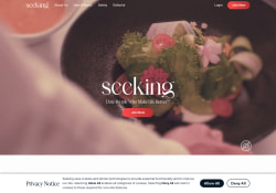 Seeking Arrangement